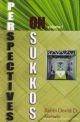 Perspectives On Sukkos Volume 1